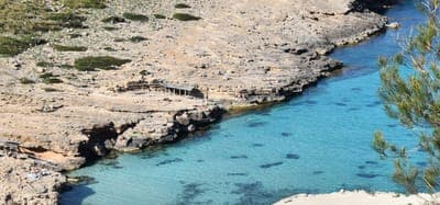 School trip to MALLORCA