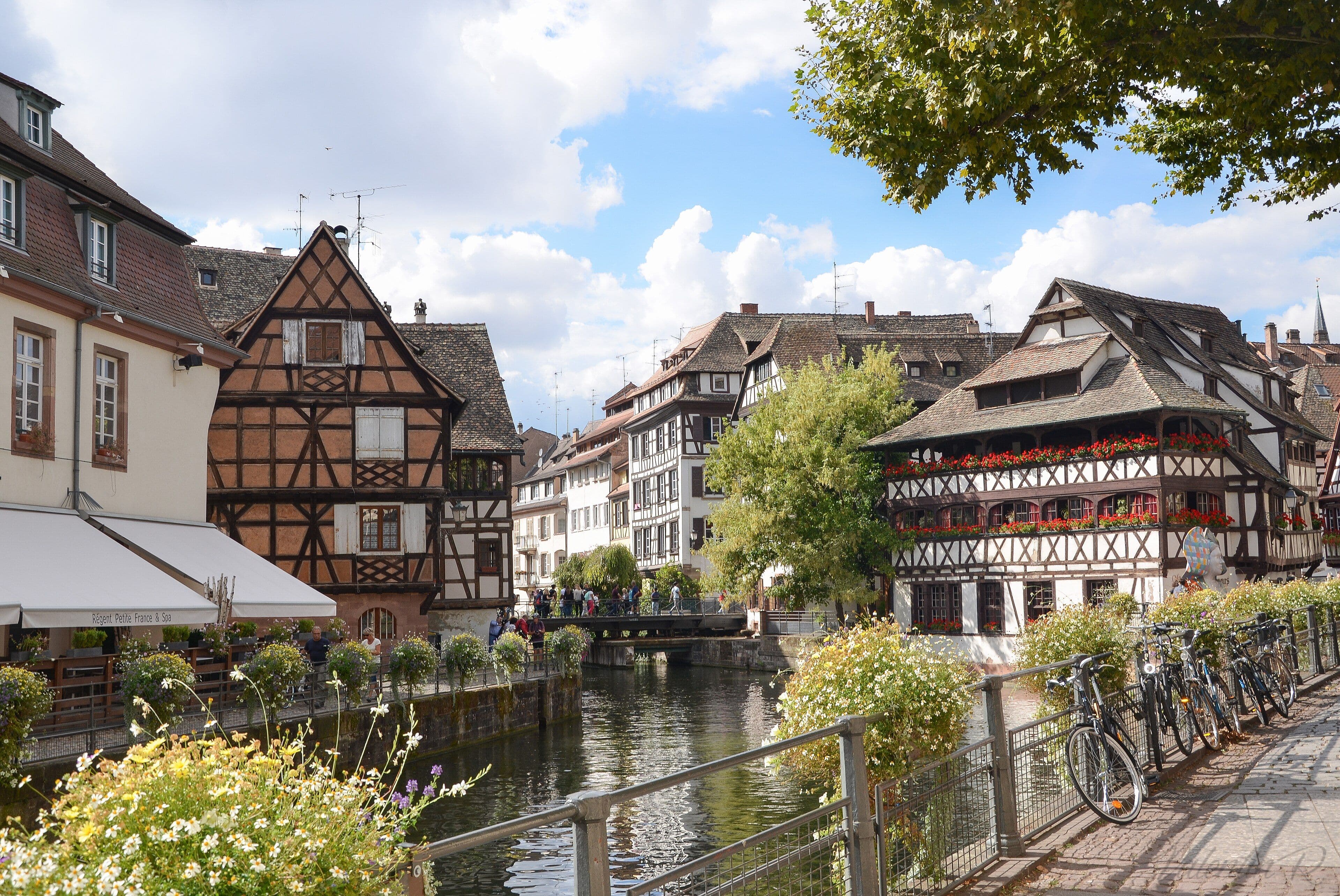 Cases d'entramat de fusta vora un canal al barri de la Petite France, a Estrasburg