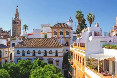 Klassenfahrt nach Sevilla