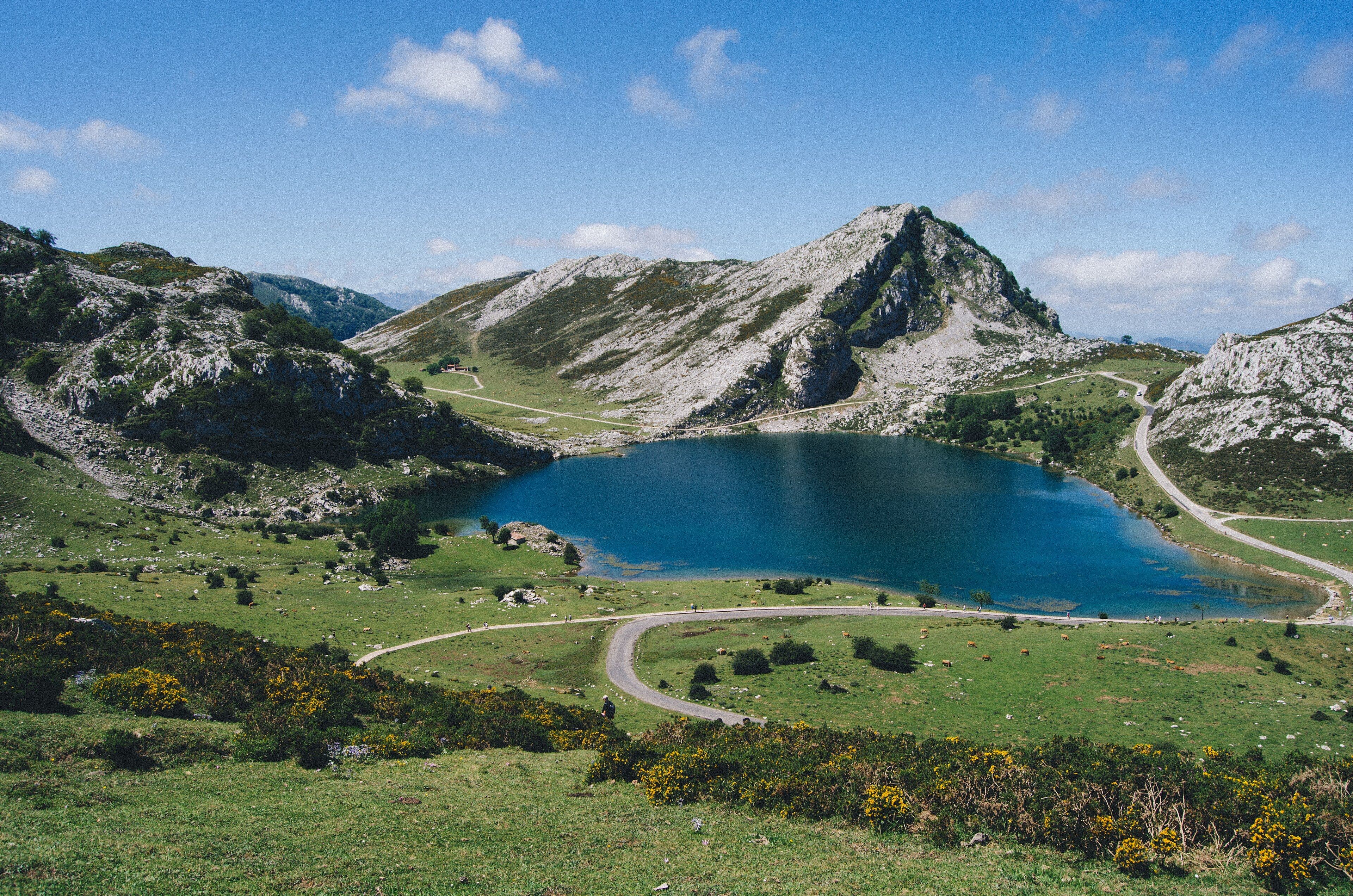 El llac Enol, als Llacs de Covadonga, amb la carretera de pujada i els prats florits